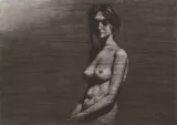 « Nu », 2015.