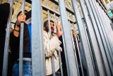 Il est déjà plus de 8 heures. Au cœur des interminables files d'attente à Qalandia, un Palestinien s'agace. Il attend depuis 5 heures du matin. Une fois passé le tourniquet, il lui faudra se soumettre au contrôle, avant de monter dans un bus. En fonction de la circulation, il pourrait encore mettre jusqu'à une heure et demie avant d'arriver sur son lieu de travail.