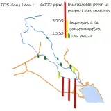 Cette image montre une carte de l'Irak avec des indications sur la salinité de l'eau, exprimée en TDS (Total Dissolved Solids) en parties par million (ppm). Les niveaux de salinité sont codés par couleur : - En rouge, les zones avec un niveau de 6000 ppm, indiquées comme inappropriées pour la plupart des cultures. - En jaune, une salinité de 3000 ppm, considérée comme impropre à la consommation. - En vert, les zones avec 1000 ppm, représentant de l'eau douce. Les lignes bleues semblent représenter des cours d'eau, tandis que d'autres lignes orange pourraient connoter les limites géographiques ou des infrastructures.