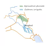 L'image représente une carte schématique de l'Irak, mettant en évidence les zones d'agriculture. Deux types d'agriculture sont illustrés : l'agriculture pluviale, indiquée par une couleur verte, et les cultures irriguées, représentées par une couleur bleue. La ville de Bagdad est clairement marquée au centre. Les différentes routes ou infrastructures sont tracées en orange, suggérant des voies de communication dans le pays.