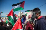 L'image montre une manifestation avec des personnes brandissant des drapeaux palestiniens. On peut voir des groupes de manifestants, certains portant des masques à gaz, suggérant qu'ils pourraient se trouver dans une situation de tension ou de conflit. Le ciel est bleu et dégagé, ajoutant un contraste avec l'atmosphère de la scène. Les participants semblent engagés et unis pour une cause.