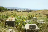 Cimetière juif de Saïda