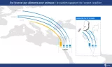 Carte montrant les exportations d'avocats vers Israël et leurs destinations.