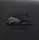 « Oiseau et damier »