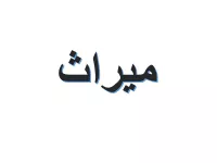L'image présente le mot "ميراث" écrit en arabe. Les lettres sont stylisées, avec un design moderne qui donne un effet dynamique, sur un fond blanc. Ce terme signifie "héritage" en français.