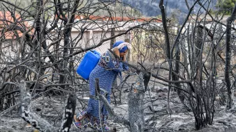L'image montre une femme vêtue d'une robe traditionnelle, portant un seau bleu, qui se tient parmi des arbres brûlés et des débris d'un terrain ravagé par un incendie. Le paysage est marqué par des troncs d'arbres noircis et des cendres, suggérant une récente catastrophe naturelle. La femme semble en quête de quelque chose ou en train d'évaluer les dommages dans cette zone dévastée.