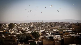 تظهر الصورة مشهدًا واسعًا لمدينة أو قرية صغيرة، حيث تتناثر المباني والمتاجر على التلال. السماء صافية ومنارة، مع مجموعة من الطيور التي تحلق في الفضاء العلوي. المباني تبدو بسيطة وأغلبها ذو أسطح مغطاة، مما يدل على بيئة قد تكون فقيرة أو ريفية. في المقدمة، يمكن رؤية شجرة وحيدة، مما يضفي لمسة من الحياة على المشهد. الألوان في الصورة تتنوع بين درجات البني والرمادي، مما يعكس طبيعة المكان وجوهر الحياة فيه.