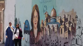 در این تصویر، دو زن در حال پیاده‌روی در کنار دیواری هستند که روی آن یک نقاشی بزرگ از یک زن به تصویر کشیده شده است. زن نقاشی شده دارای چهره‌ای جدی و نگاه مستقیمی به بیننده است. او کلاه جلوی سرش را به شکل نمادین به نشانه خبرنگاری به رنگ آبی دارد. در پس‌زمینه، ساختمان‌ها و کوچه‌ها به صورت هنری و با رنگ‌های ملایم به تصویر درآمده‌اند. همچنین در پایین نقاشی، نوشته‌ای به عربی دیده می‌شود که به معنای «حقیقت» است. محیط دور و بر حس زندگی شهری و فرهنگی را منتقل می‌کند.