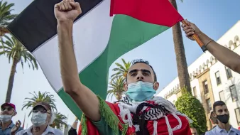 در این تصویر، مردی در حال برگزاری یک تجمع یا اعتراض است. او با افتخار پرچم فلسطین را در دست دارد و دستش را بالا برده است. چهره‌اش نشان‌دهنده احساسات عاطفی و شور و شوق است. او همچنین ماسکی به خاطر تدابیر بهداشتی بر صورت دارد. در پس‌زمینه، درختان نخل دیده می‌شوند که به فضای گرمسیری و پرجنب‌وجوش این مراسم افزوده‌اند. افراد دیگری نیز در تصویر حاضرند که برخی از آن‌ها ماسک زده‌اند.