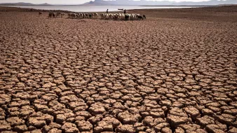 این تصویر صحنه‌ای از یک زمین خشک و ترک خورده را نشان می‌دهد. سطح زمین به طور واضح با ترک‌های عمیق و منظمی پوشیده شده است که ناشی از خشکی و کمبود آب است. در پس‌زمینه، چند نفر به همراه تعدادی دام در حال حرکت هستند، که نشان‌دهنده تلاش برای یافتن علوفه یا آب در این بیابان خشک است. کوه‌های دور در دوردست به وضوح قابل مشاهده هستند و آسمانی آبی با ابری جزئی بخشی از این چشم‌انداز را تشکیل می‌دهد. وضعیت کلی تصویر حس تنهایی و خشکی را منتقل می‌کند.