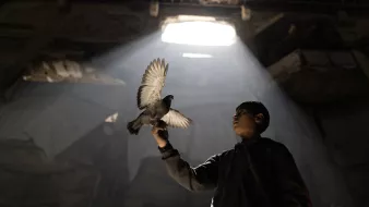 Un ragazzo tiene un piccione su un dito, in un ambiente illuminato da un raggio di luce.