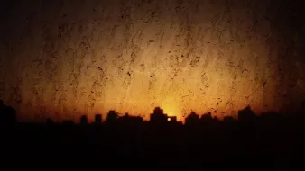 L'image montre un paysage urbain au crépuscule, avec des silhouettes de bâtiments se découpant contre un ciel orangé. La texture de la vitre est visible, ajoutant une dimension bruitée et floue à la scène. Les reflets et les imperfections de la vitre créent une atmosphère légèrement mystérieuse, tandis que la lumière du soleil couchant rappelle la fin de la journée.