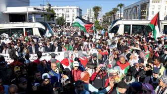 L'image montre une grande foule de manifestants rassemblés dans une ville, probablement pour une cause liée à la Palestine. Les personnes portent des écharpes ou des drapeaux palestiniens, et plusieurs d'entre elles tiennent des pancartes. L'ambiance semble énergique et déterminée, avec des sympathisants se réunissant pour exprimer leurs opinions. En arrière-plan, on peut voir des bâtiments modernes et des palmiers, indiquant un cadre urbain.