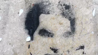 این تصویر شامل یک طرح یا گرافیتی روی دیوار است که چهره‌ای را به صورت سیاه و سفید نشان می‌دهد. جزئیات چهره به وضوح قابل تشخیص نیستند و بیشتر به صورت سایه‌ای به نظر می‌رسند. زمینه تصویر ممکن است از جنس بتن یا دیوار سنگی باشد که به مرور زمان دچار wear و تخریب شده است. 