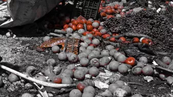 تظهر الصورة مجموعة من الفواكه المتناثرة على الأرض. الألوان الرئيسية هي تدرجات رمادية، مع تواجد بعض الفواكه باللون الأحمر، مثل الطماطم. هناك أيضًا بعض السلال المستخدمة لتخزين الفواكه، وبعض الفواكه الأخرى التي تبدو متروكة ومهملة. تبدو البيئة المحيطة غير مرتبة، مما يشير إلى حالة من الفوضى أو الإهمال.