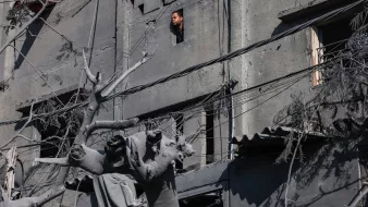 L'immagine mostra un edificio gravemente danneggiato, con i muri di cemento visibilmente rovinati. Da una finestra rotta, si intravede una persona che osserva l'esterno, mentre nel primo piano si trova una statua, anch'essa coperta di polvere e detriti. Le linee elettriche pendono disordinatamente, e l'atmosfera è cupa a causa dei colori grigi e della desolazione del contesto. La scena sembra suggerire un ambiente colpito da un evento catastrofico, con evidenti segni di distruzione e abbandono.