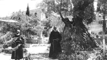 در این تصویر، دو مرد در لباس‌های سنتی به طور ایستاده در یک باغ یا محوطه‌ی بیرونی قرار دارند. در پس‌زمینه، درختان بزرگ و کهن وجود دارد، به ویژه یک درخت زیتون بسیار قدیمی که به وضوح قابل مشاهده است. باغ پر از سبزه و گل‌های متنوع است. نمای کلی تصویر حس سکوت و آرامش را منتقل می‌کند و به نظر می‌رسد که مکان تاریخی و معنوی باشد.