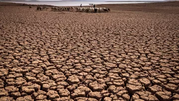 L'image montre un paysage aride et desséché, caractérisé par un sol fendu en craquelures profondes. Au loin, on aperçoit un groupe de personnes qui semblent guider un troupeau d'animaux. L'environnement est désolé, probablement en raison de la sécheresse, avec des montagnes floues à l'arrière-plan. L'atmosphère dégage un sentiment de difficulté et de lutte face aux conditions climatiques austères.