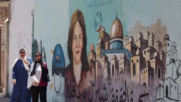 در این تصویر، دو زن در حال پیاده‌روی در کنار دیواری هستند که روی آن یک نقاشی بزرگ از یک زن به تصویر کشیده شده است. زن نقاشی شده دارای چهره‌ای جدی و نگاه مستقیمی به بیننده است. او کلاه جلوی سرش را به شکل نمادین به نشانه خبرنگاری به رنگ آبی دارد. در پس‌زمینه، ساختمان‌ها و کوچه‌ها به صورت هنری و با رنگ‌های ملایم به تصویر درآمده‌اند. همچنین در پایین نقاشی، نوشته‌ای به عربی دیده می‌شود که به معنای «حقیقت» است. محیط دور و بر حس زندگی شهری و فرهنگی را منتقل می‌کند.
