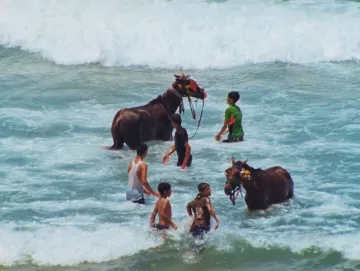 The image shows several people in the ocean with two horses. The horses, adorned with decorative accessories, are standing in the shallow water, while the people, including children and adults, are interacting with them. Waves can be seen in the background, creating a lively beach scene. The atmosphere appears joyful and playful, with the water splashing around as the individuals engage with the horses.