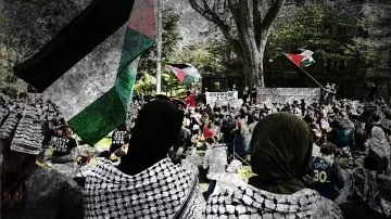 L'immagine mostra una manifestazione in cui partecipano molte persone, alcune delle quali indossano sciarpe tradizionali palestinesi. Si possono vedere delle bandiere palestinesi sventolare sullo sfondo. La scena è caratterizzata da una grande affluenza di partecipanti, con un'atmosfera di attivismo e solidarietà. Gli alberi e l'architettura circostante forniscono un contesto urbano alla manifestazione, suggerendo un forte impegno per una causa sociale.