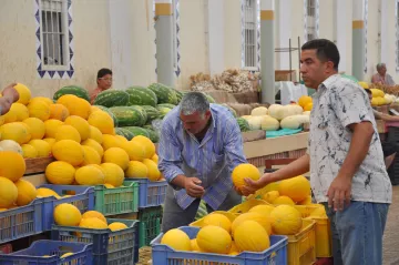 L'image montre un marché où plusieurs personnes s'occupent de la vente de melons. Il y a des paniers en plastique contenant des melons jaunes, et des melons de différentes tailles sont dispersés sur des tables. Deux hommes sont au premier plan : l'un est penché pour examiner un melon, tandis que l'autre tient un melon et semble discuter ou réfléchir. En arrière-plan, on peut voir d'autres melons et des gens qui s'affairent. L'ambiance semble animée et colorée, typique d'un marché local.