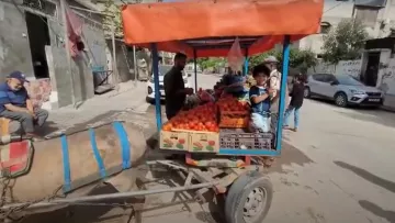 L'image montre un charrette tirée par un âne, pleine de fruits, probablement des tomates. Un homme se tient à côté de la charrette, tandis qu'un enfant est assis sur le bord, tenant des fruits. En arrière-plan, on aperçoit une rue urbaine avec des bâtiments et des personnes. La scène semble animée, typique d'un marché local.