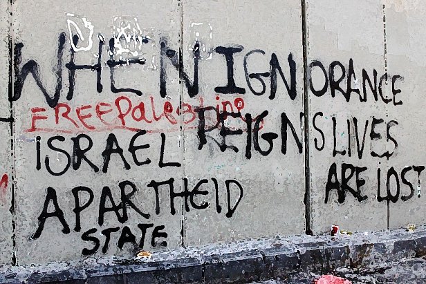 L'image montre un mur sur lequel sont inscrites des phrases écrites en lettres noires. Ces inscriptions expriment des opinions politiques et sociales, en évoquant des thèmes tels que l'ignorance, l'apartheid et la situation en Palestine. Les mots "Free Palestine" et "Israel Apartheid State" sont parmi les plus visibles, soulignant un message de dénonciation et de revendication. Le style de l'écriture est brut, ce qui renforce l'impact des mots.